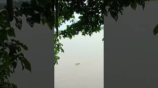 Subarnarekha River Re Baniya Aasichi [upl. by Ripp]