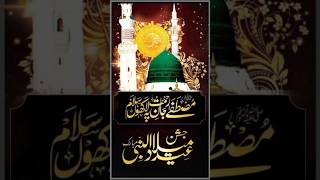 Ya Habibi Marhaba Jaddal Husain Marhaba salam eidmiladunnabi rabbiulawwal [upl. by Euqor146]