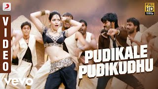 Venghai  Pudikale Pudikudhu Video  Dhanush Tamannah  DSP [upl. by Kinnon]