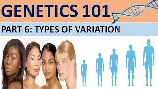 GENETICS 101 Part 6 Types of VariationCXC Biology Tutor [upl. by Ah]