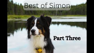 Best of Simon  Part Three [upl. by Dawn816]