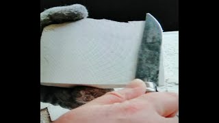 MAKING A RAZOR STROP FROM BIRCH POLYPORE FUNGUS [upl. by Niliram]