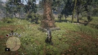 Hidden 3 Gold Bars Location  Red Dead Redemption 2 [upl. by Dymoke296]