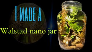 Creating A No Filter Nano Walstad Ecojar  Low Tech  Self sustaining  Shrimps habitat [upl. by Ynnot]