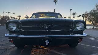 1965 Ford Mustang  FOR SALE [upl. by Meldon465]