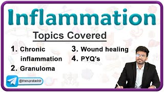 Chronic Inflammation  Wound Healing amp Granuloma  Pathology Lecture 4 [upl. by Htesil831]