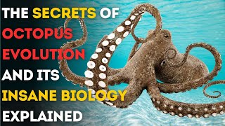 The Secrets of Octopus Evolution and Its Insane Biology  Explained [upl. by Enyr521]