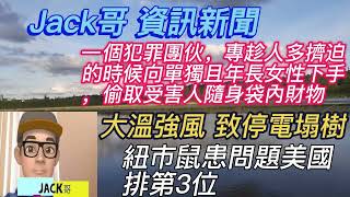 【Jack哥 】資訊新聞  扒手黨專趁人多擠迫的時候向單獨且年長女性下手  加拿大大溫強風到 致停電塌樹  紐市鼠患問題美國排第3位 [upl. by Sanburn]