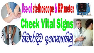 The use of stethoscope amp BP meter  Check Vital Signs in Sinhala [upl. by Acirtal]