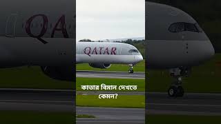 কাতার বিমান দেখতে কেমন How does Qatar Airways lookplanespotting aviationaeroplanevideoaircraft [upl. by Leasi]