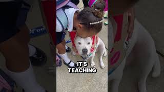 Cole The Deaf Dog Teaches Kids Diabilities Are A Superpower  The Animal Cracker Podcast [upl. by Laws]