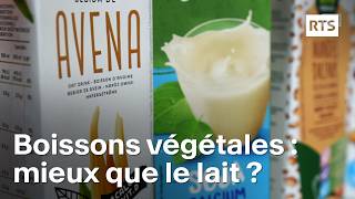 Les boissons végétales peuventelles remplacer le lait   RTS [upl. by Bouchier]