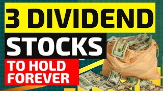 3 BEST DIVIDEND Stocks To Buy And Hold Forever Dividend portfolio [upl. by Okiam]