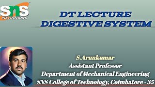 Digestive System Lecture  SARUNKUMAR  APME  SNSCT [upl. by Urata198]