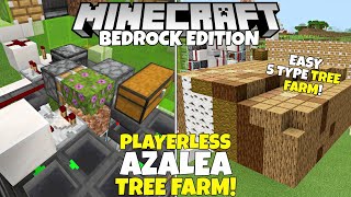 Minecraft Bedrock Fully AFK TREE FARM Tutorial 5 Type Azalea Tree Farm MCPE Xbox PC PS4 [upl. by Adnilemreh898]