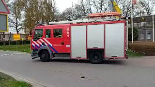 Opkomst  Beelden ter plaatse Brandweer Borculo rukt uit voor een kat in de boom in Geesteren Gld [upl. by Aloysia]