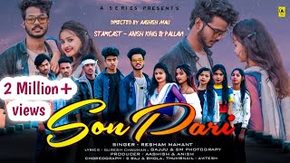 Sonpari  सोनपरी  new cg album song  Anish king  pallavi  singer Resham mahant SonPari cg [upl. by Bledsoe]