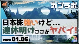 【カブラボ】15 日本株 強いけど・・・ 連休明け ココがヤバイかも！ [upl. by Euqinamod]