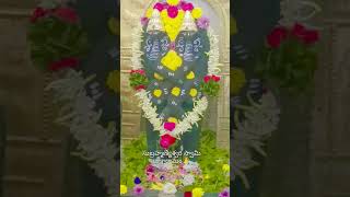 draksharamam subramanianswamy subramanyaswamysongs temple love [upl. by Idac]