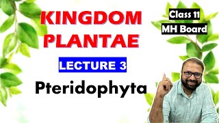 Pteridophyta Kingdom Plantae Lecture 3  Class 11 Biology  Maharashtra State Board [upl. by Asille318]