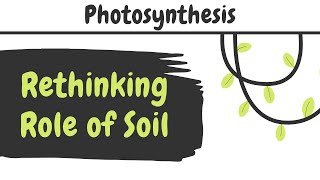 Rethinking the Role of Soil ¦ Van Helmonts Experiment ¦ Life Sciences for Common Man [upl. by Placido]