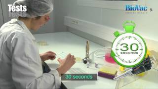 How to serotype bacteria by Rapid Plate Agglutination Test [upl. by Suryc384]