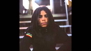 quotLloramequot by Skip Marley  KUSTOM MIKE MIX [upl. by Radcliffe]