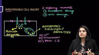 CELL INJURY PATHOLOGY RAPID REVISION FMGE INICET NEETPG [upl. by Pravit]