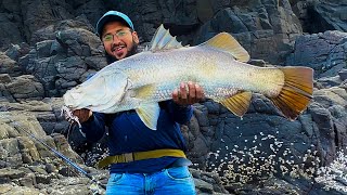 Crazy size Big barramundi Fish from shore  Rod Reel fishing  Indian Barramundi Fish ratnagiri [upl. by Kirsteni154]