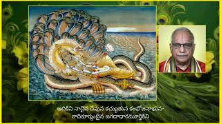 మంగళము గోవిందునకు  Mangalamu Govindunaku [upl. by Ydnak]