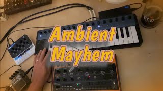 Ambient Generative Patch  Behringer Crave [upl. by Ulberto]