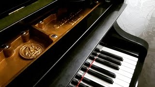 The C Bechstein Grand Piano Glorious Sound [upl. by Hoye197]