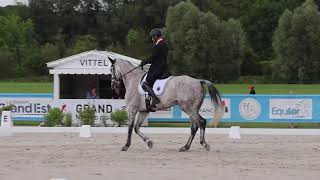 Dressage de Nicolas Touzaint et Diabolo Menthe Vittel 2024 [upl. by Mloclam]