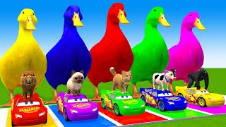 5 Giant Duck CartoonCowElephantGiraffeTigerLion Paint Wild Animals Crossing Fountain Animation [upl. by Aehta388]