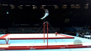 LARDUET Manrique CUB  2017 Artistic Worlds Montréal CAN  Qualifications Horizontal Bar [upl. by Eissac442]