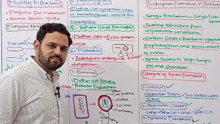 Endospore Formation in Bacteria  Motility in Bacteria  Class 11  Prokaryotes  NBF  FBISE [upl. by Malony]