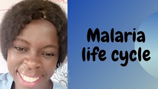 Malaria life cycle [upl. by Eelyme915]