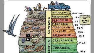 Part 4 Stratigraphy Biostratigraphy and Chronostratigraphy Geology Stratigraphy OnlineCourses [upl. by Johan]