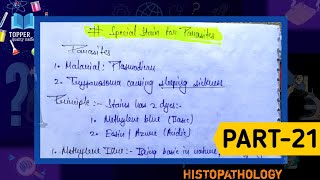 Special stain for parasites  Giemsa stain preparation  Malarial parasite slide preparation [upl. by Latihs]