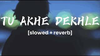 tu ake dekhle lofislowedreverb [upl. by Idalina]