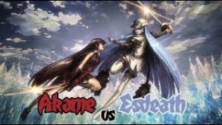 Akame vs Esdeath [upl. by Diva]