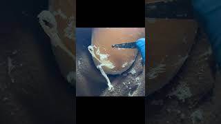 Charming Pedicure Video  Remove Dead Skin [upl. by Rellek]