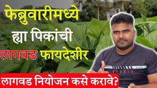 फेब्रुवारी महिन्यात या पिकांची लागवड करा  पिकांचे नियोजन संपूर्ण माहिती  मालामाल करणारे पीक [upl. by Namlas177]