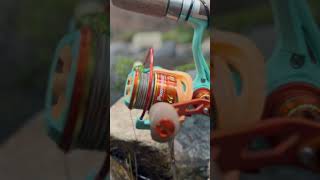 KRAZY Spinning Combo Profishiency lure bassfishing upstatenewyork fishing topwaterfishing [upl. by Katha]