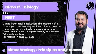 During insertional inactivation the presence of a chromogenic substrate gives blue coloured colo [upl. by Issak128]