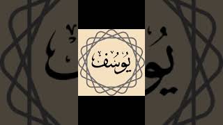 Surah youssef  Sheikh Maher Maaiqli  سورة يوسف  ماهر المعيقلي [upl. by Nemzaj760]