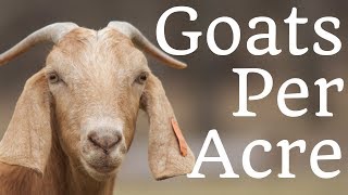 How Many Goats Per Acre [upl. by Ennovyhc]