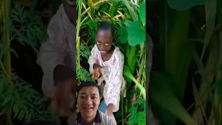 funny realfoolscomedy surajroxfun surajroxfunny surajroxfunnyvibe vikramcomedyvideo realfools [upl. by Enellek211]