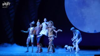 Septime Webres The Wizard of Oz  Kansas City Ballet [upl. by Brooks]