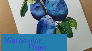 Watercolor Painting  Plum  Speedpaint [upl. by Glialentn]